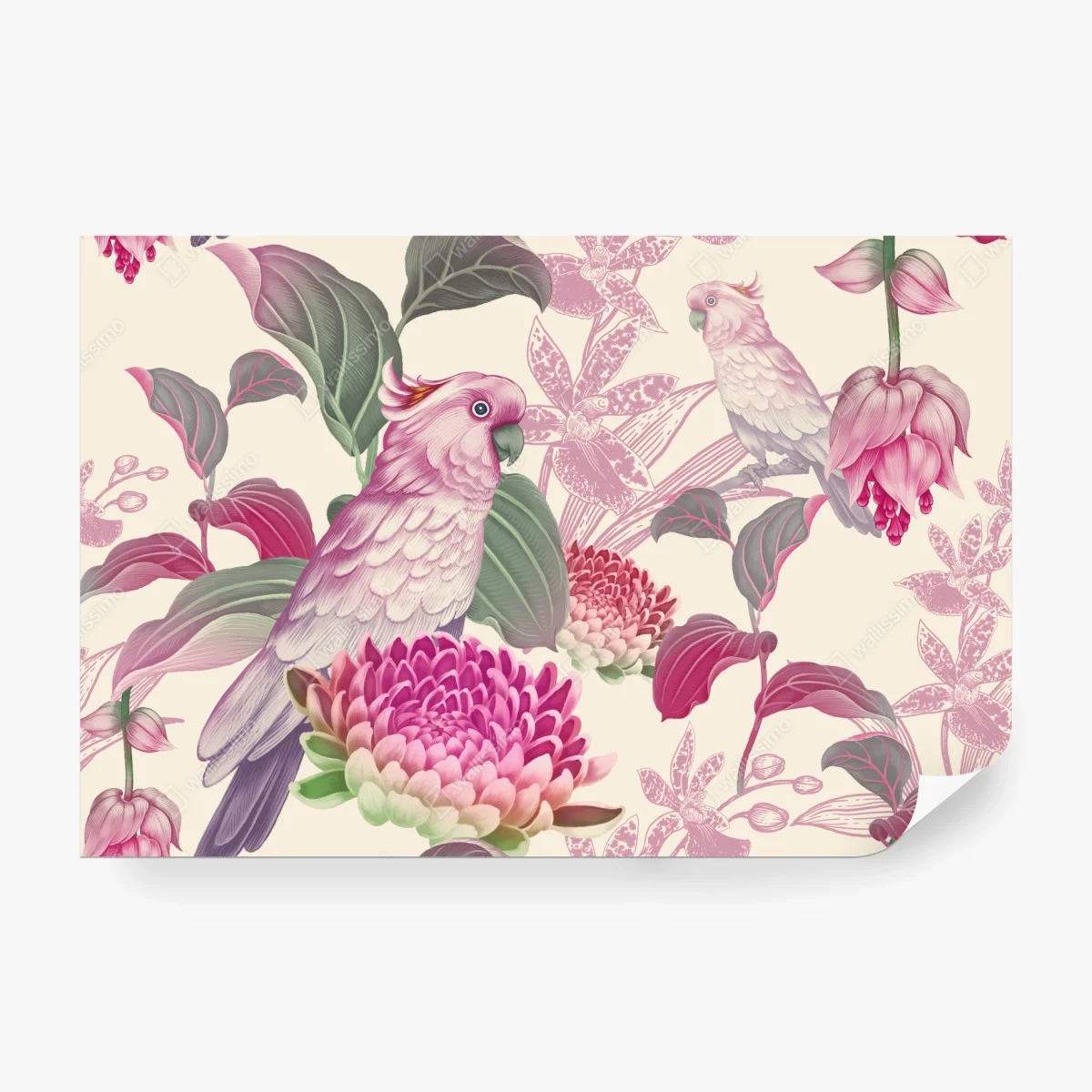 Fototapete rosa papagei und chrysantheme - botanisches motiv – Wallnifity®