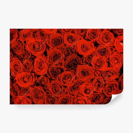 Fototapete prächtiger strauß roter rosen – Wallnifity®