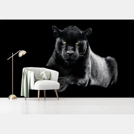 Fototapete porträt eines schwarzen panthers vor schwarzem hintergrund – Wallnifity®
