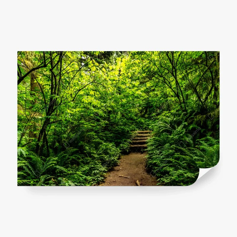 Wälder – Wallnifity®