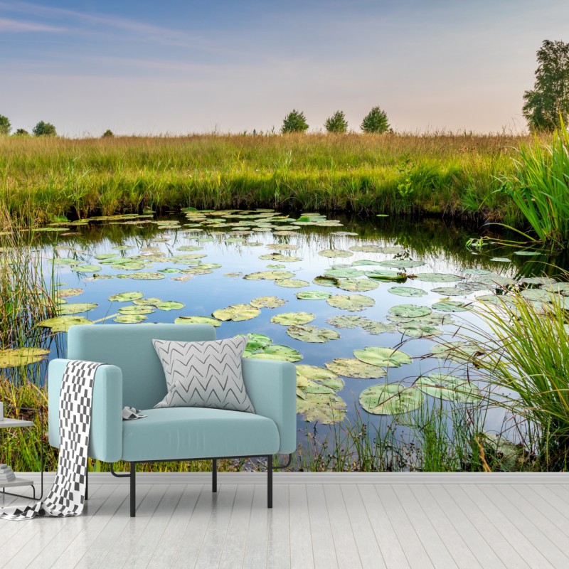 Fototapeten – Wallnifity®