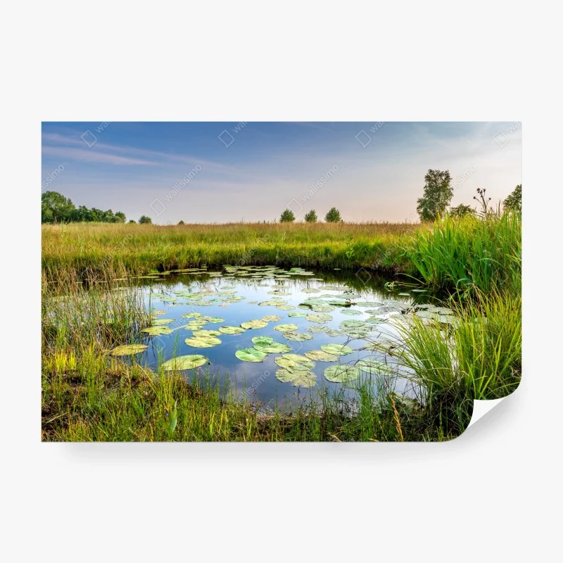 Flüsse & Seen – Wallnifity®