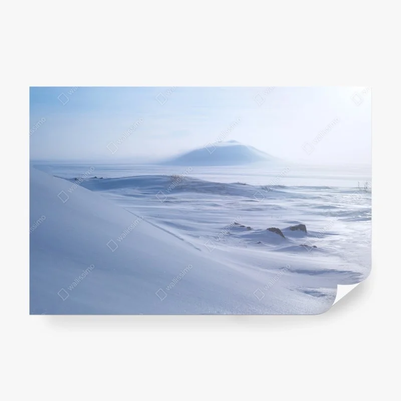 Skandinavisch – Wallnifity®