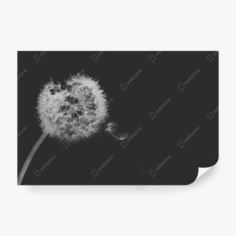 Schlafzimmer – Wallnifity®