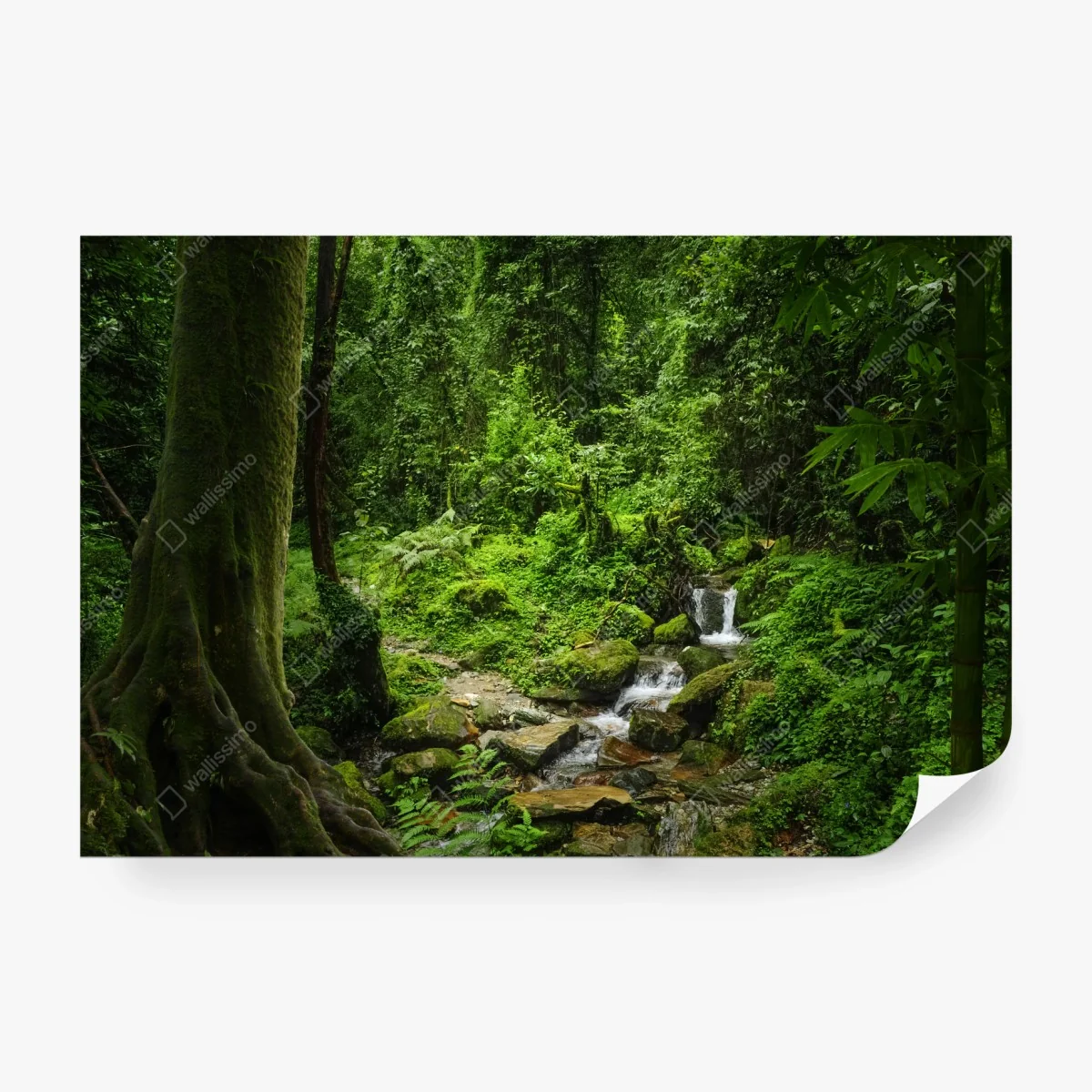 Fototapete üppiger grüner waldwasserfall – Wallnifity®