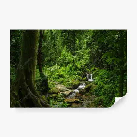 Fototapete üppiger grüner waldwasserfall – Wallnifity®