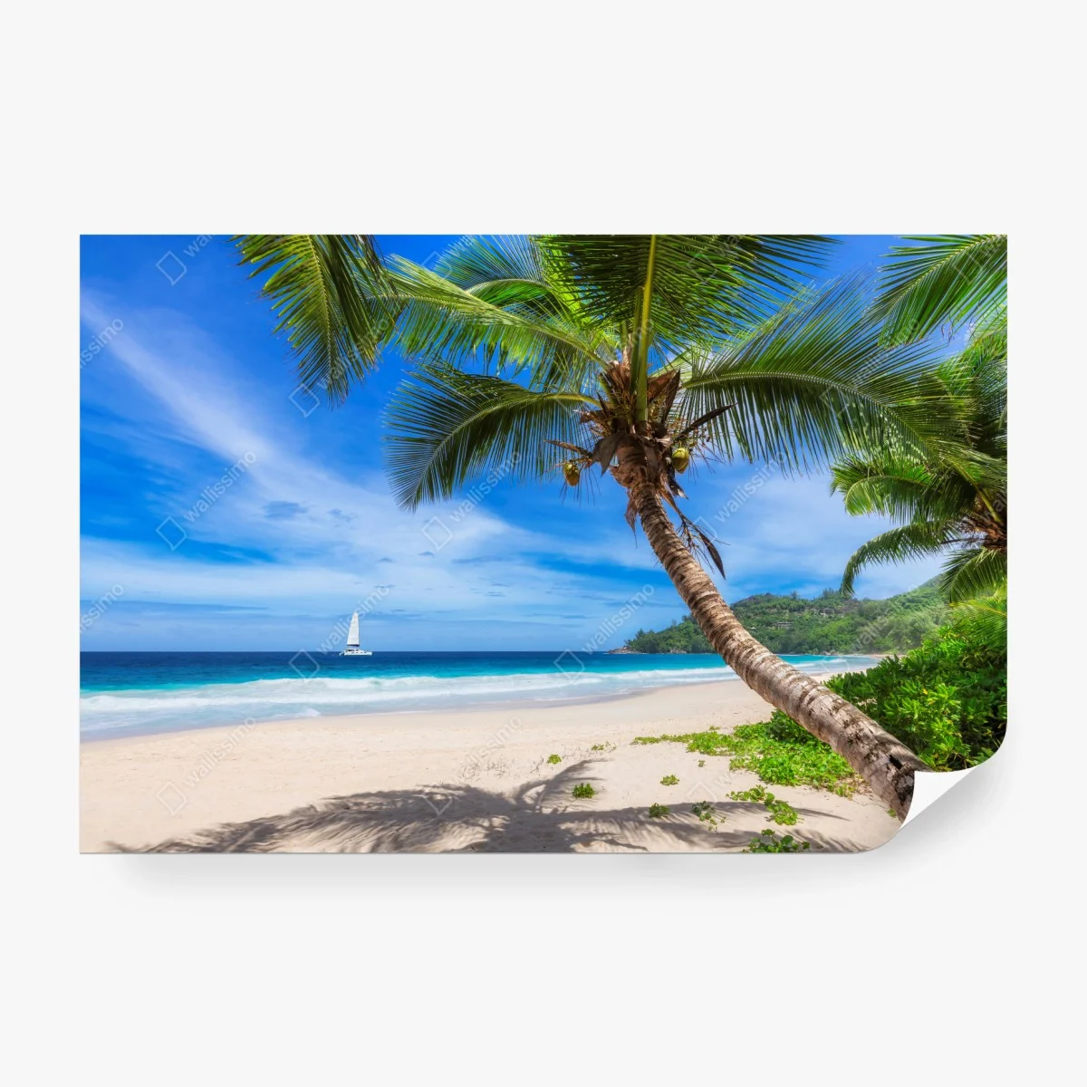 Fototapete tropischer strand mit palme – Wallnifity® Fototapete tropischer strand mit palme – Wallnifity®