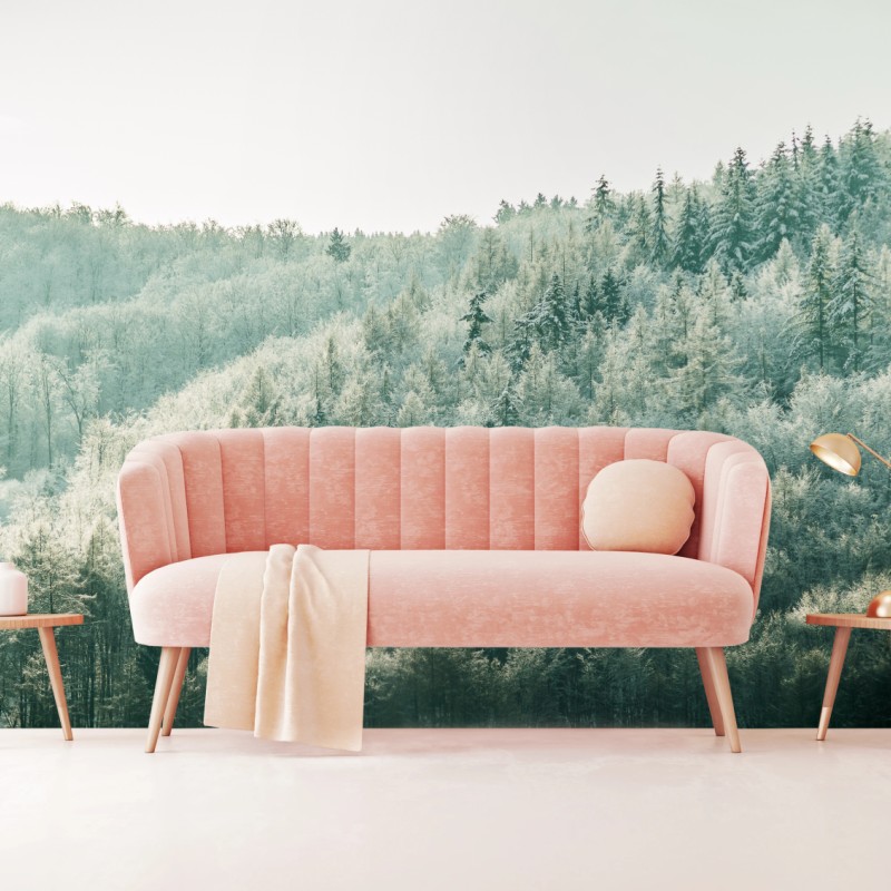Fototapeten – Wallnifity®