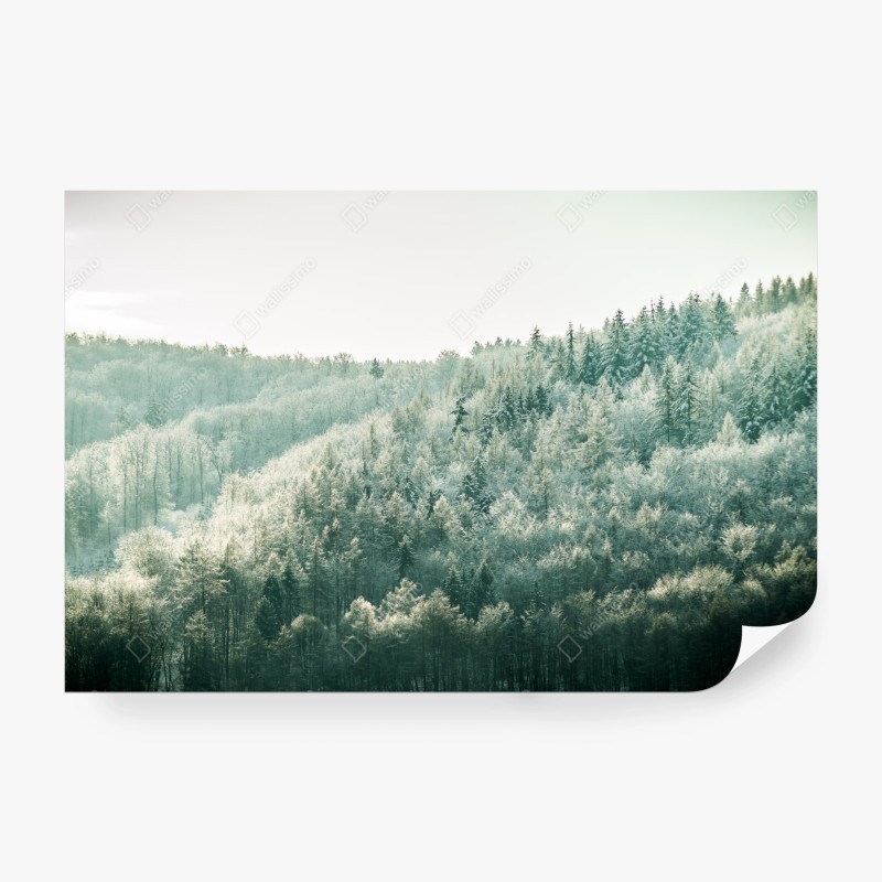 Fototapeten – Wallnifity®