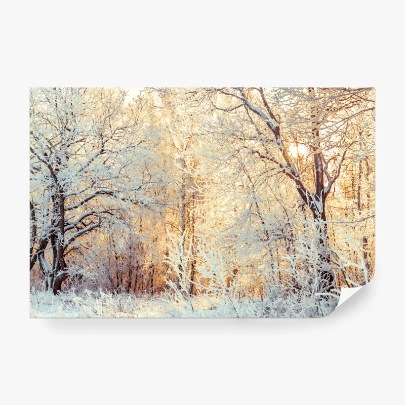 Skandinavisch – Wallnifity®