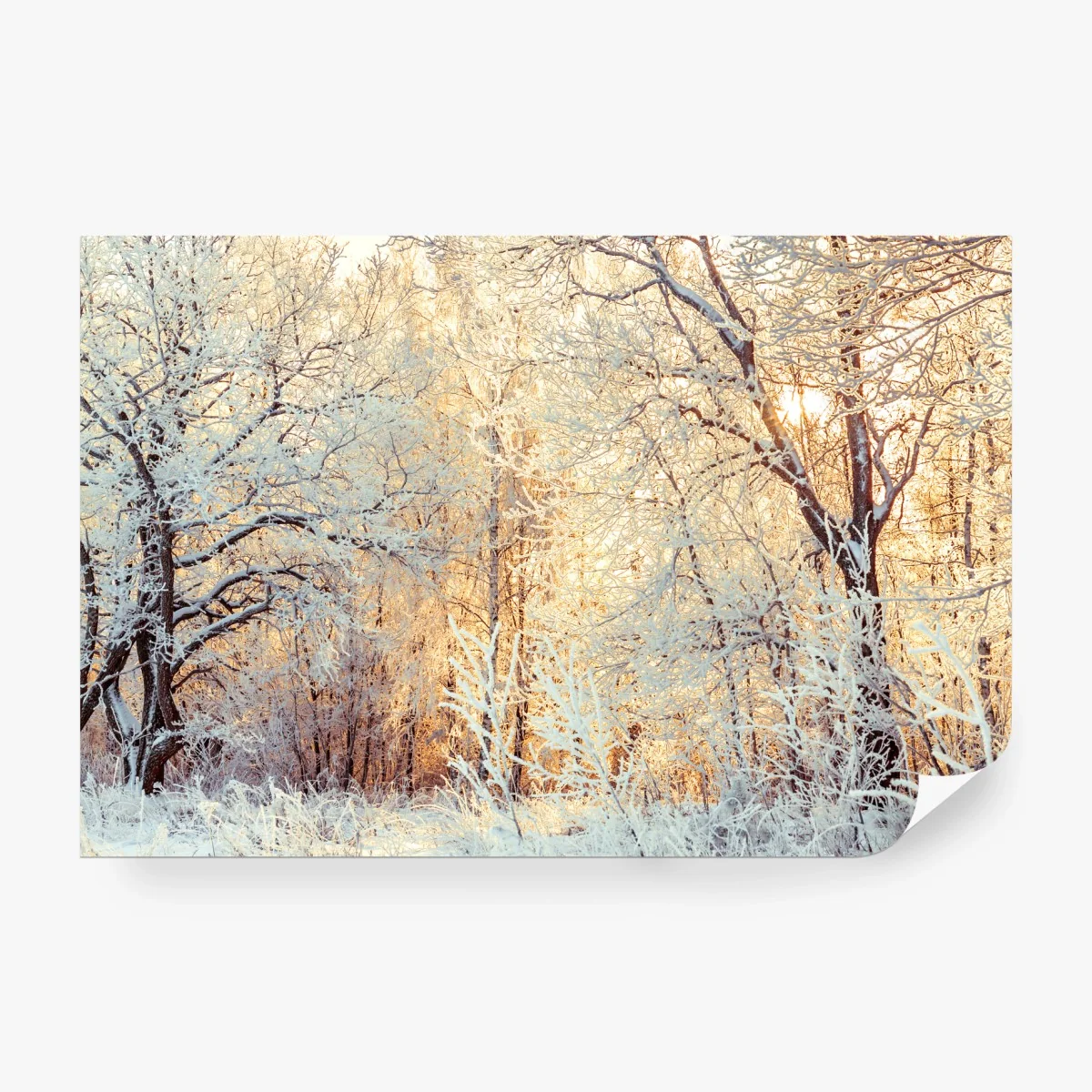 Fototapete wintersonne im verschneiten wald – Wallnifity®