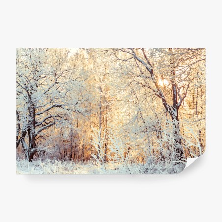 Fototapete wintersonne im verschneiten wald – Wallnifity®