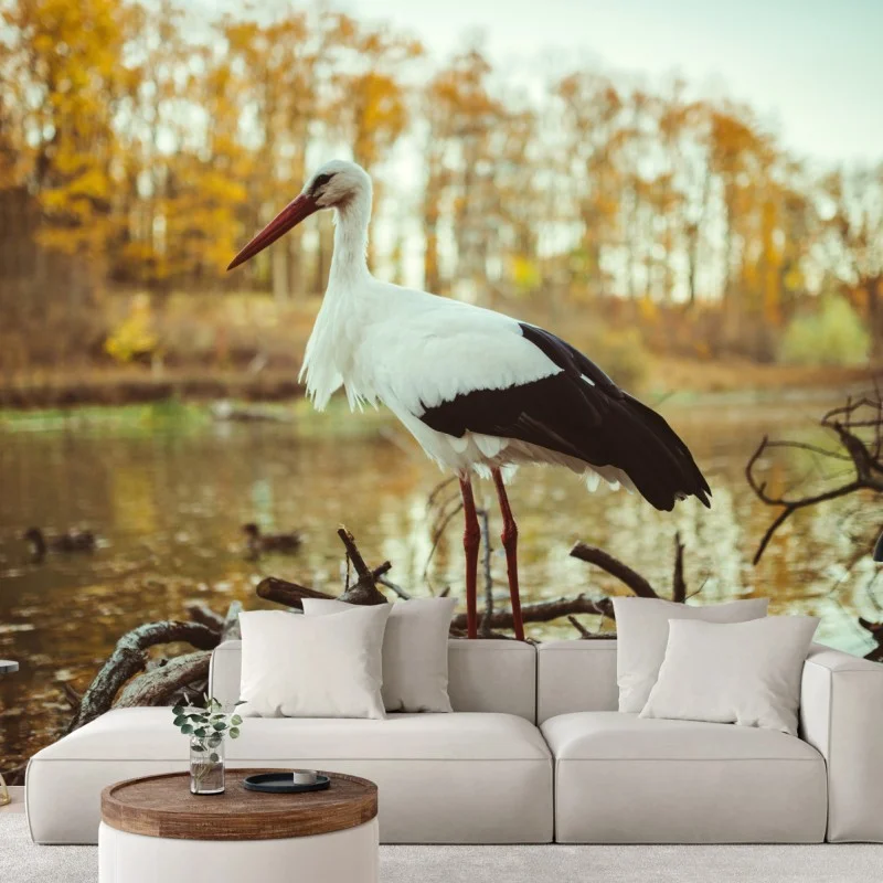 Flüsse & Seen – Wallnifity®