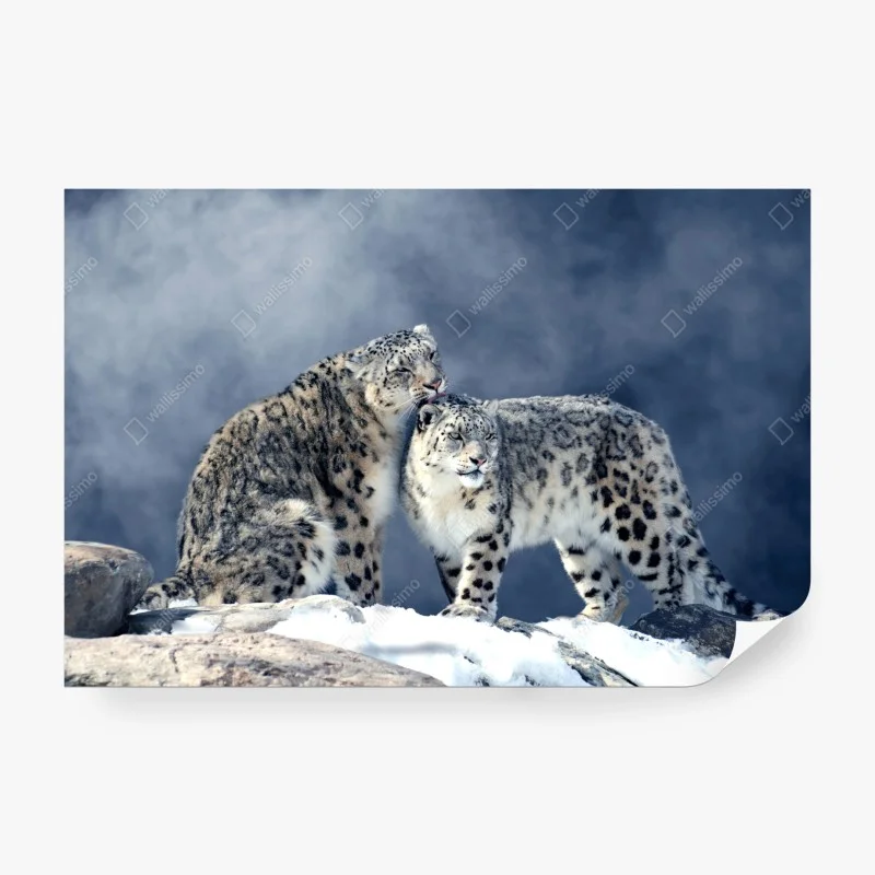 Wohnzimmer – Wallnifity®