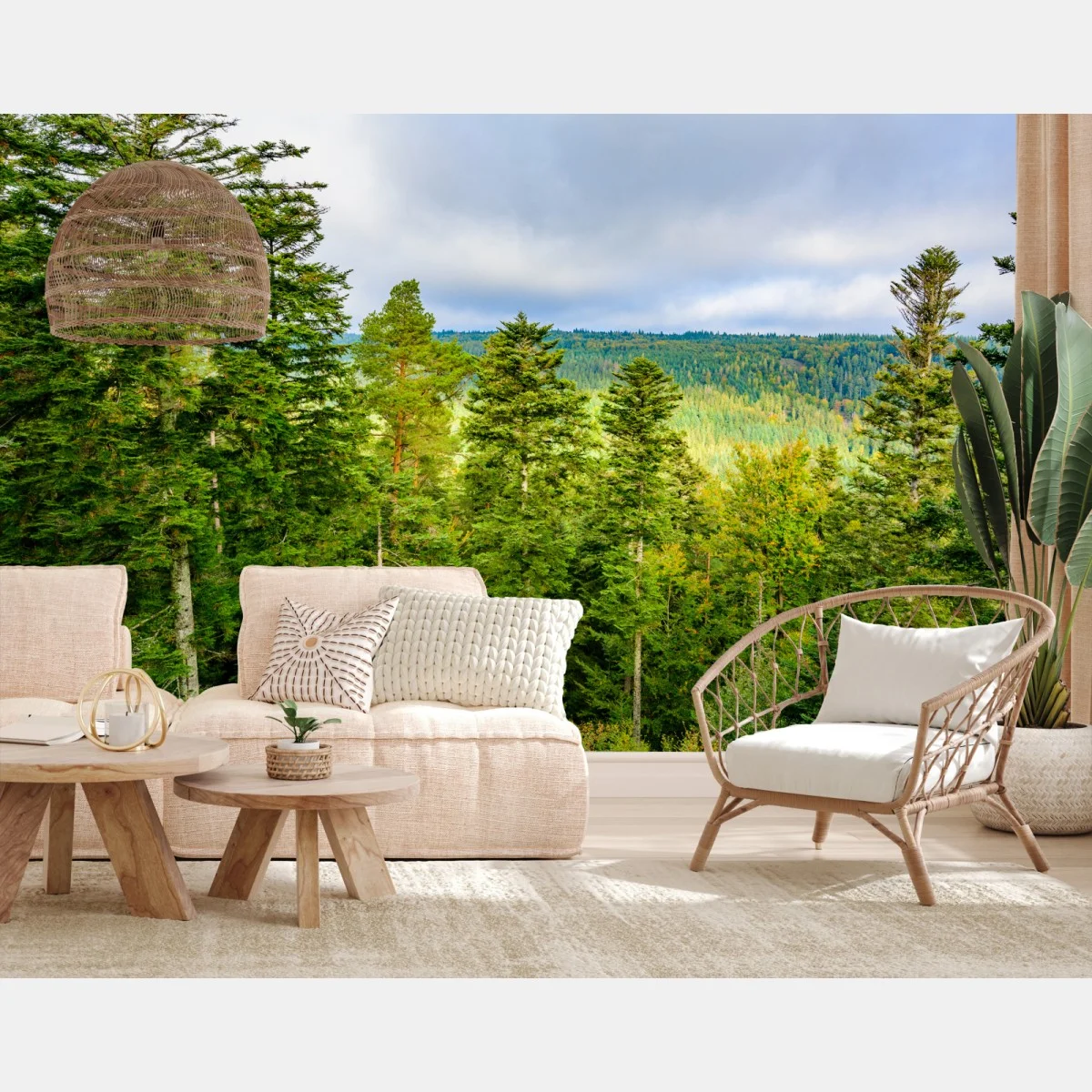 Fototapete Schwarzwald herbstliche waldlandschaft – Wallnifity® Fototapete Schwarzwald herbstliche waldlandschaft – Wallnifity®