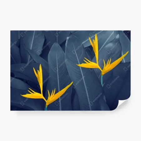 Fototapete gelbe strelitzie auf blauen blättern – Wallnifity®
