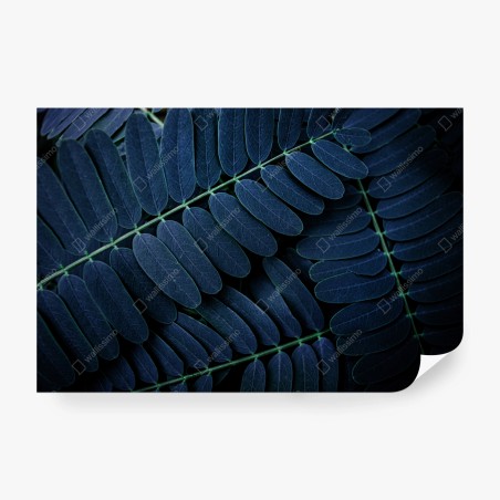 Fototapete tiefblaues blattmuster – Wallnifity®