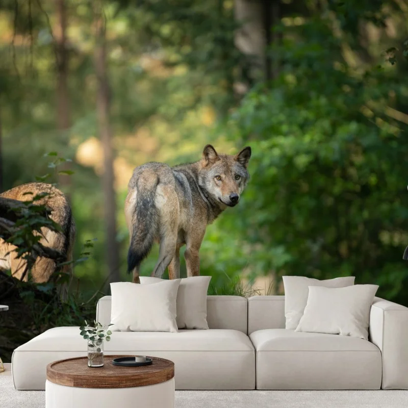 Tiere – Wallnifity®