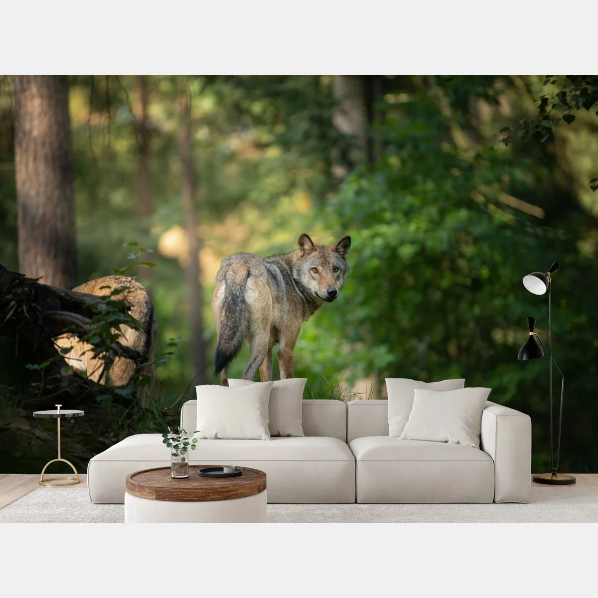 Fototapete wolf auf der lichtung im wald – Wallnifity® Fototapete wolf auf der lichtung im wald – Wallnifity®