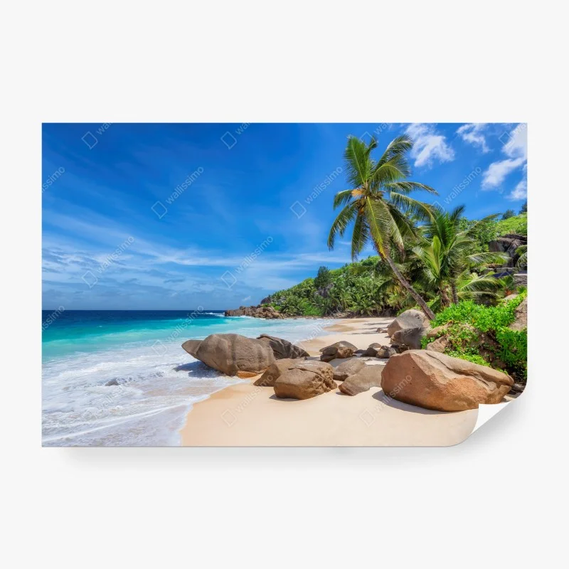 Strand – Wallnifity®