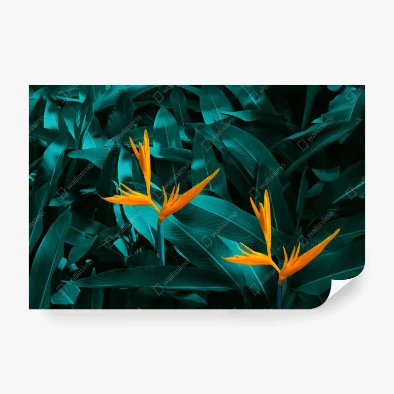 Blumen – Wallnifity®