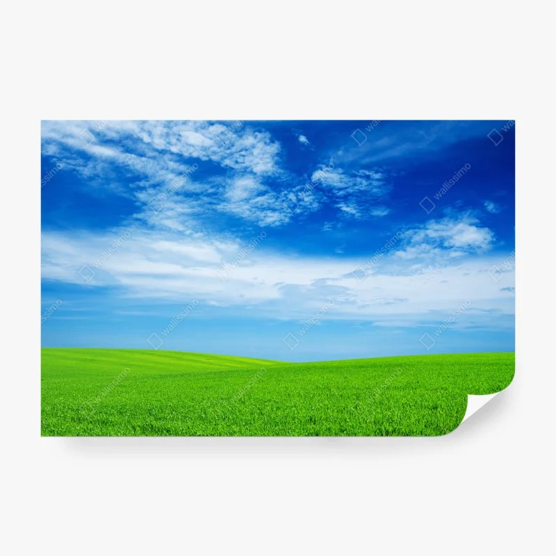 Wiesen – Wallnifity®