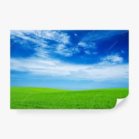 Fototapete grüne wiese unter blauem himmel – Wallnifity®