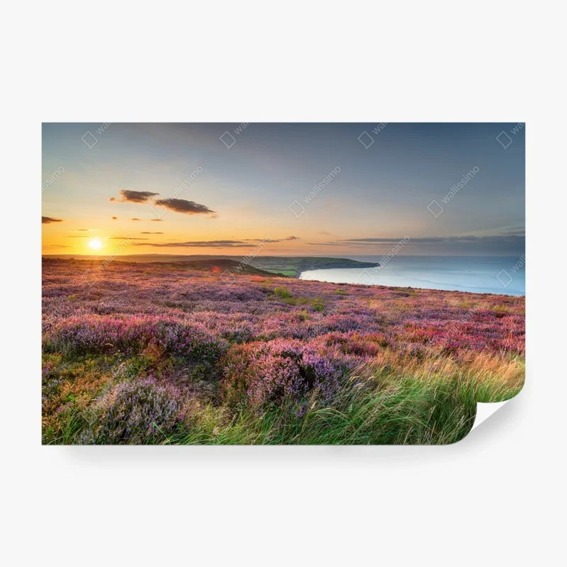 Landschaften – Wallnifity®