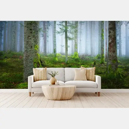 Fototapete nebliger kiefernwald aus dem Elsass – Wallnifity®