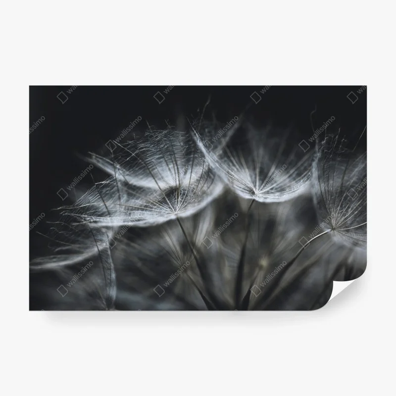 Schlafzimmer – Wallnifity®