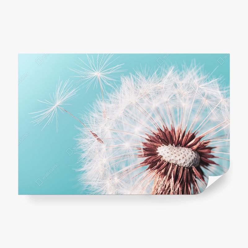 Schlafzimmer – Wallnifity®