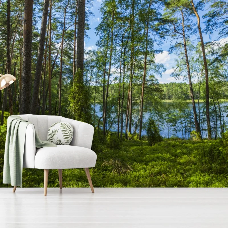 Wälder – Wallnifity®