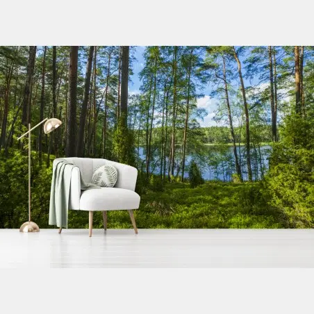 Fototapete ruhiger kiefernwald am see – Wallnifity®