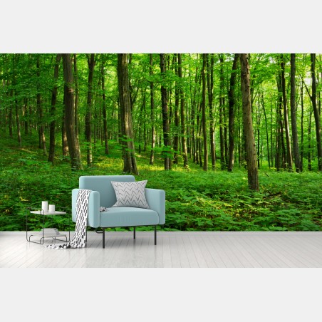 Fototapete sonniger grüner wald im frühling – Wallnifity®