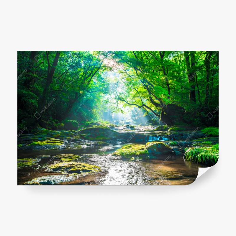 Natur – Wallnifity®