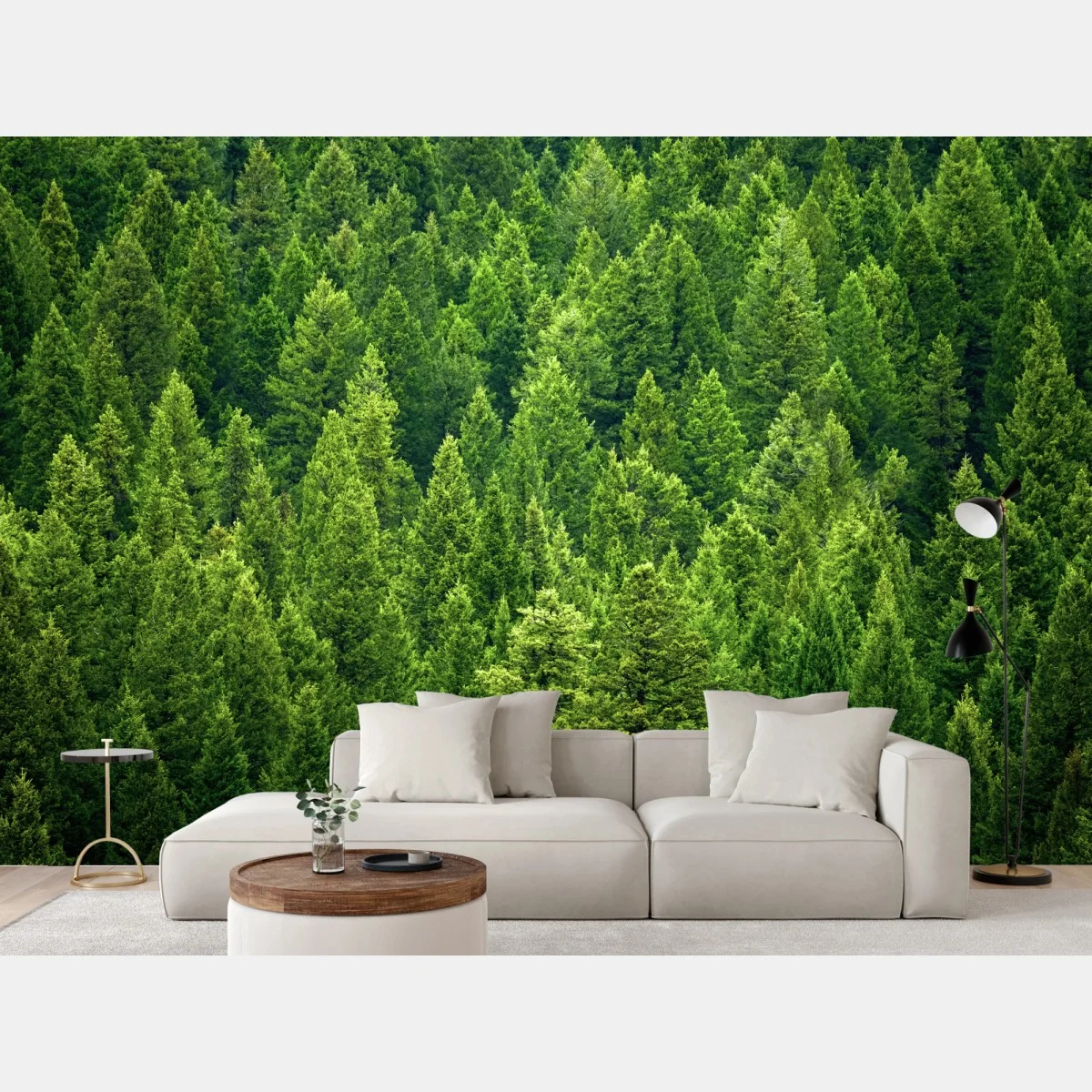 Fototapete üppige kronen eines kieferwaldes – Wallnifity® Fototapete üppige kronen eines kieferwaldes – Wallnifity®