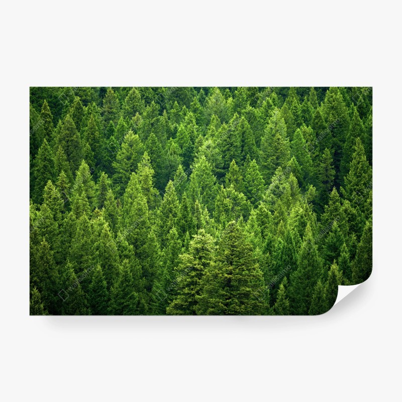 Natur – Wallnifity®