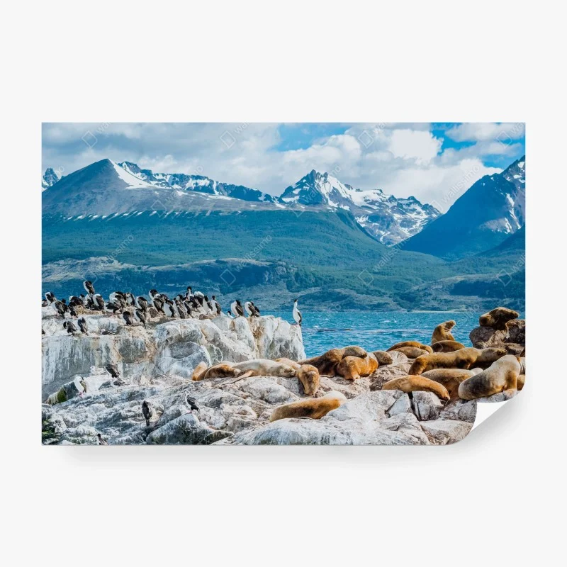 Meerestiere – Wallnifity®