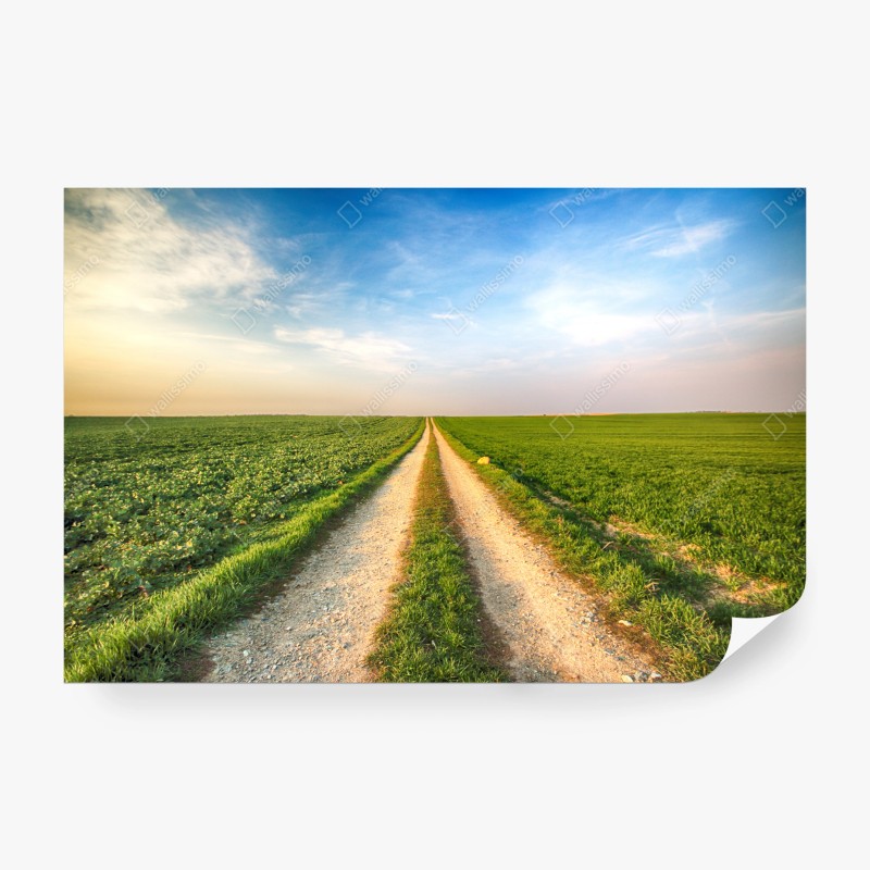 Natur – Wallnifity®