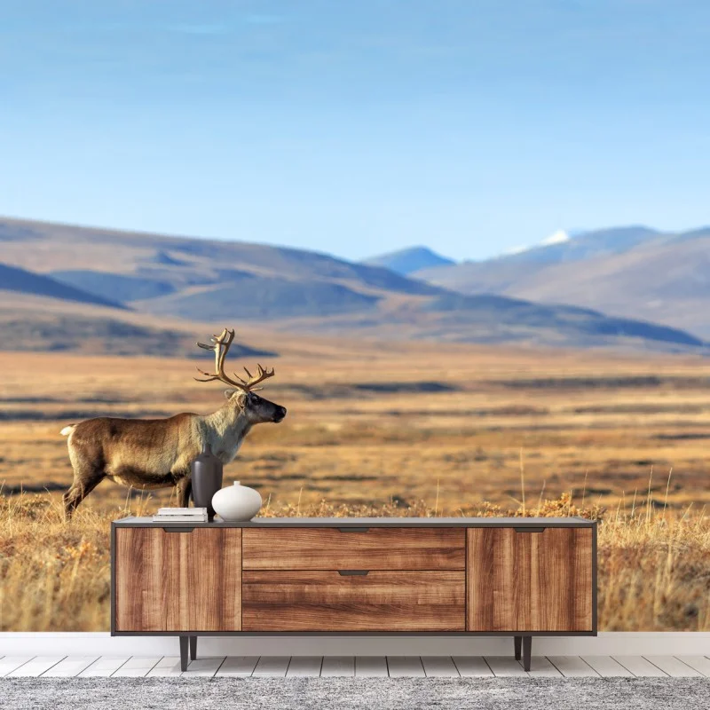 Wiesen – Wallnifity®