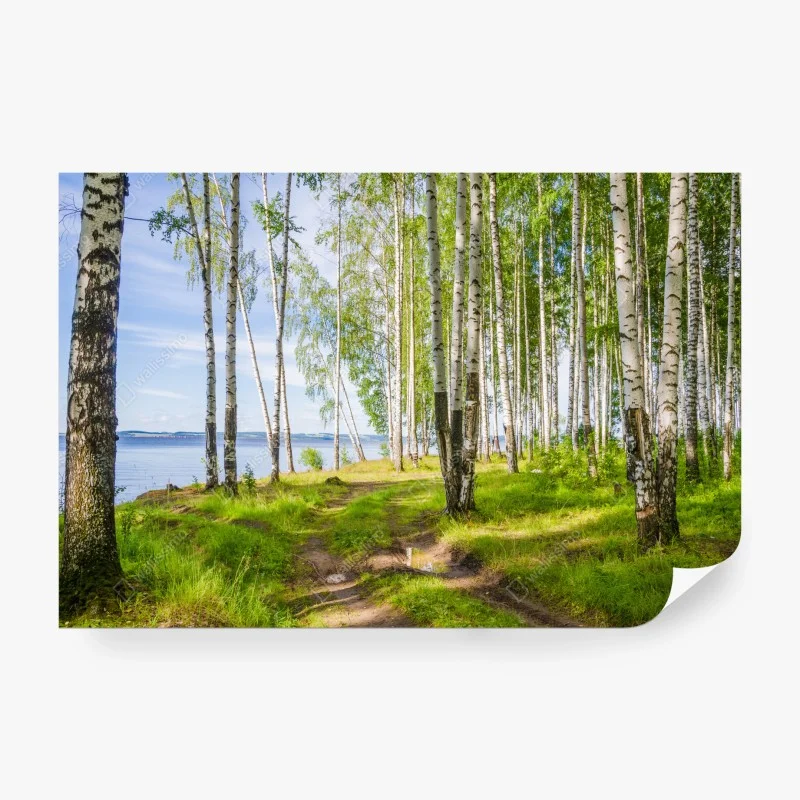 Wälder – Wallnifity®