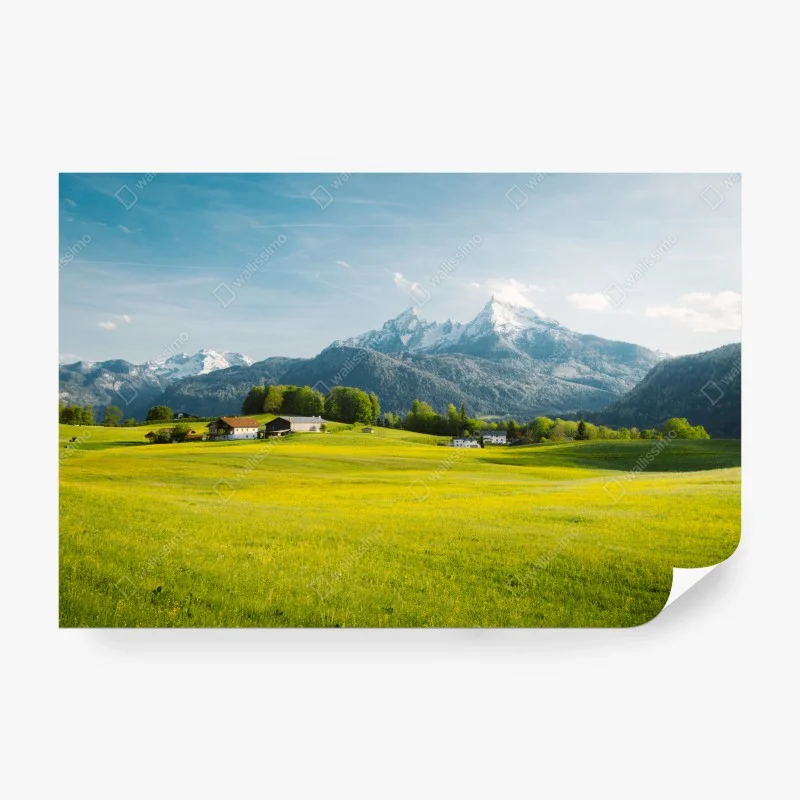 Wiesen – Wallnifity®