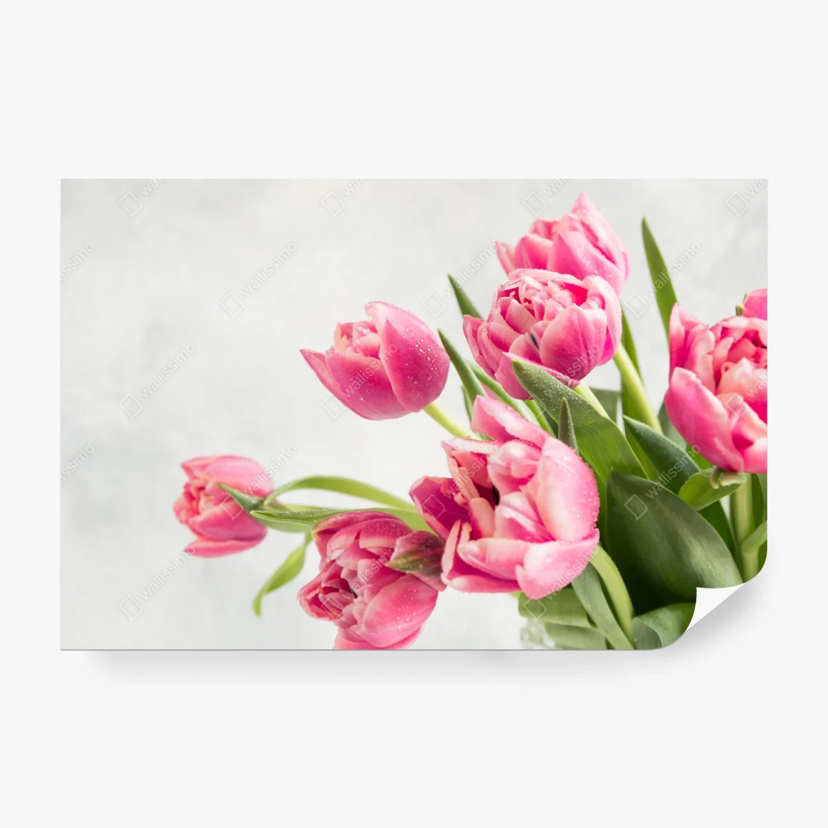 Fototapete eleganter strauß rosa tulpen – Wallnifity®