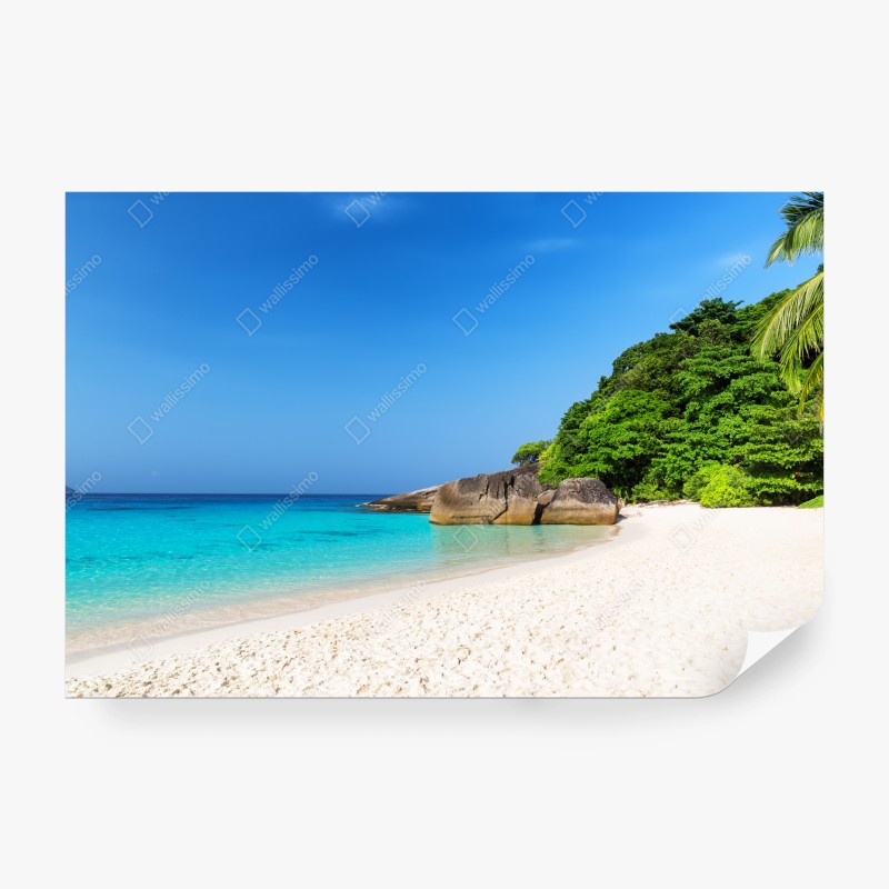 Natur – Wallnifity®