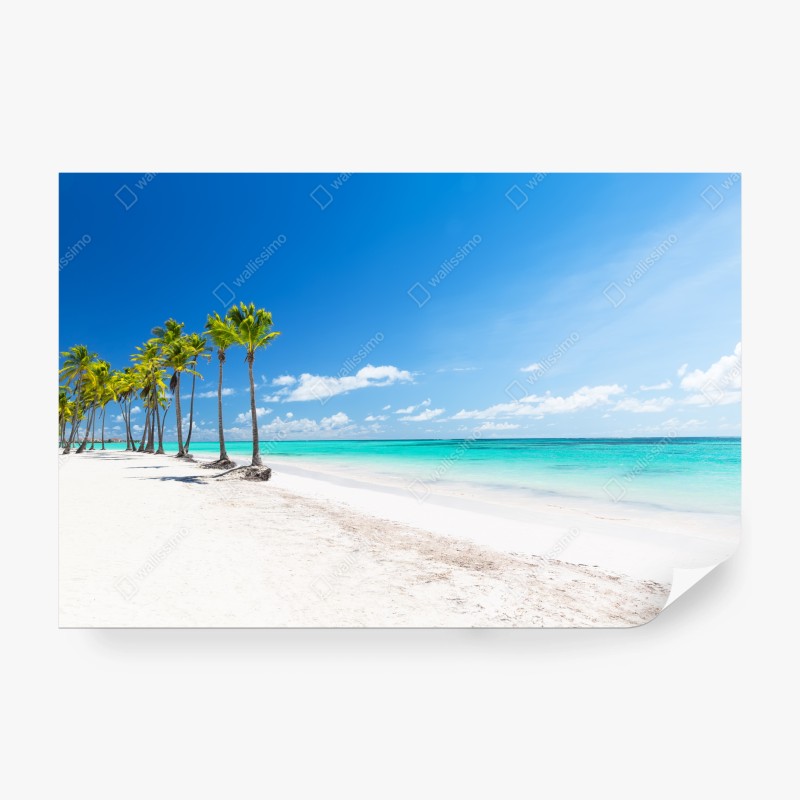 Fototapeten – Wallnifity®