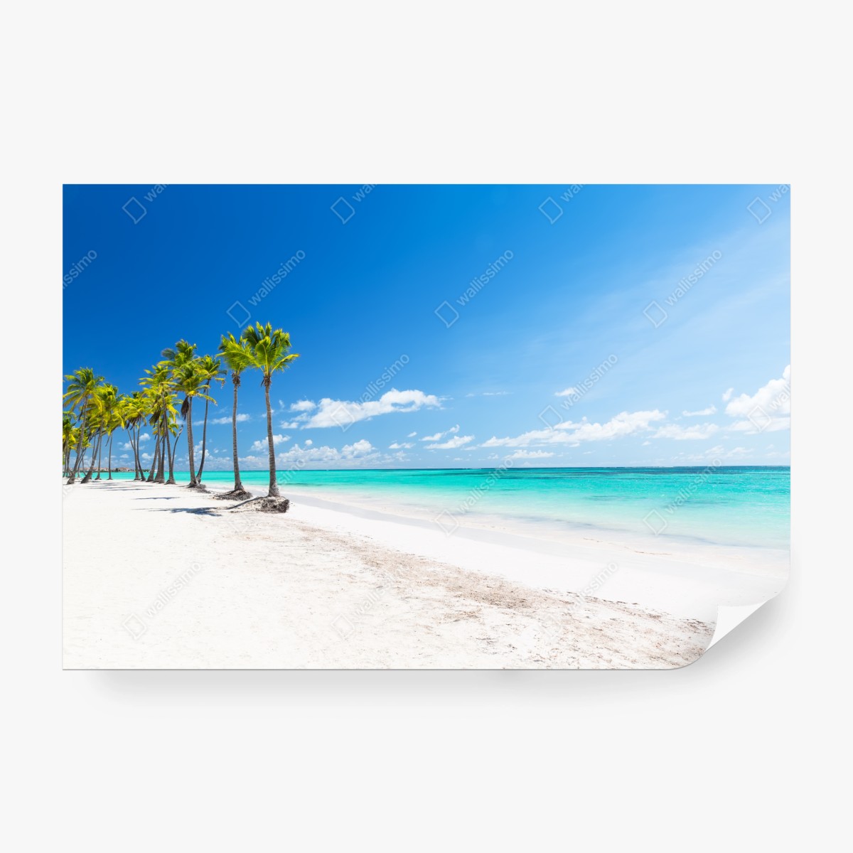 Fototapete palmen am strand von Punta Cana – Wallnifity®