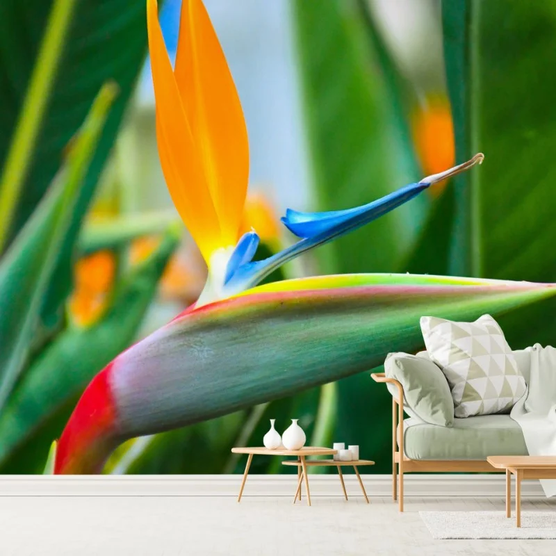 Blumen & Pflanzen – Wallnifity®