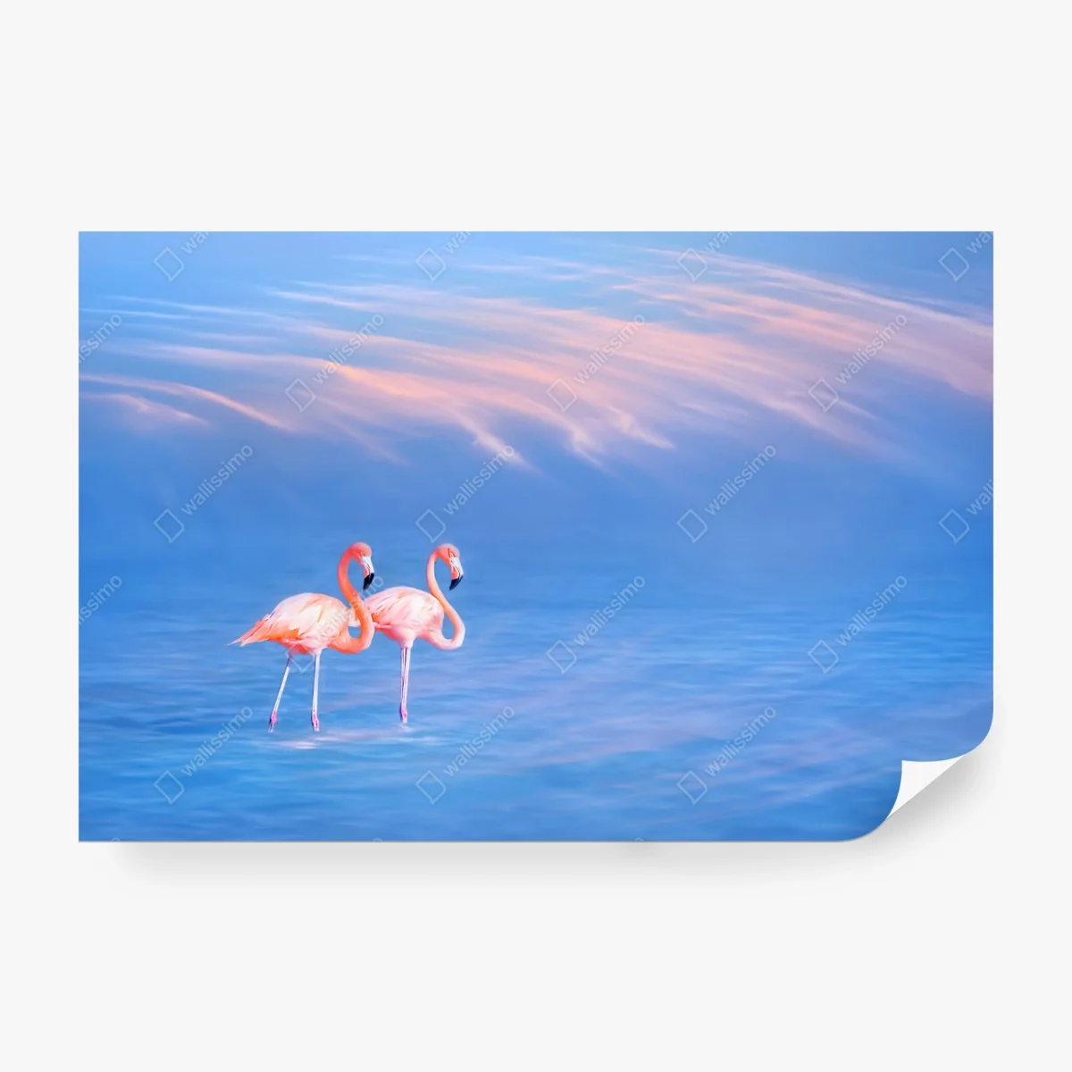 Fototapete rosa flamingos auf pastellfarbenem wasser – Wallnifity®