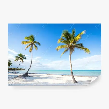 Fototapete tropischer palmenstrand – Wallnifity®
