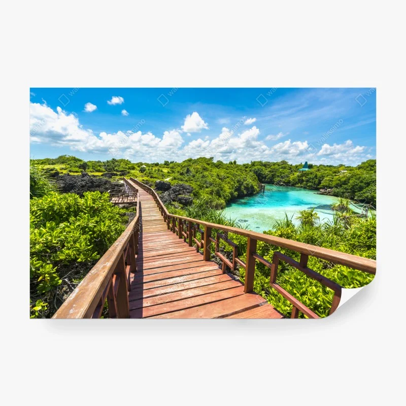 Brücken – Wallnifity®